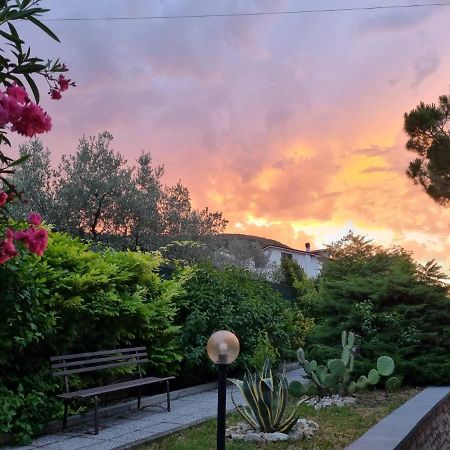 San Casciano Bed & Breakfast Narni Bagian luar foto